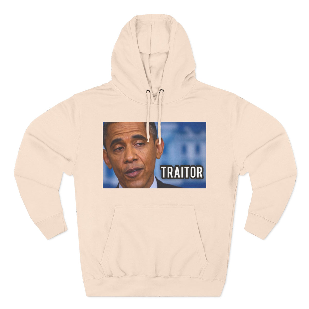 The SCIF "Presidential Traitor Meme" Fleece Hoodie, Back "Money On Pallets Meme."