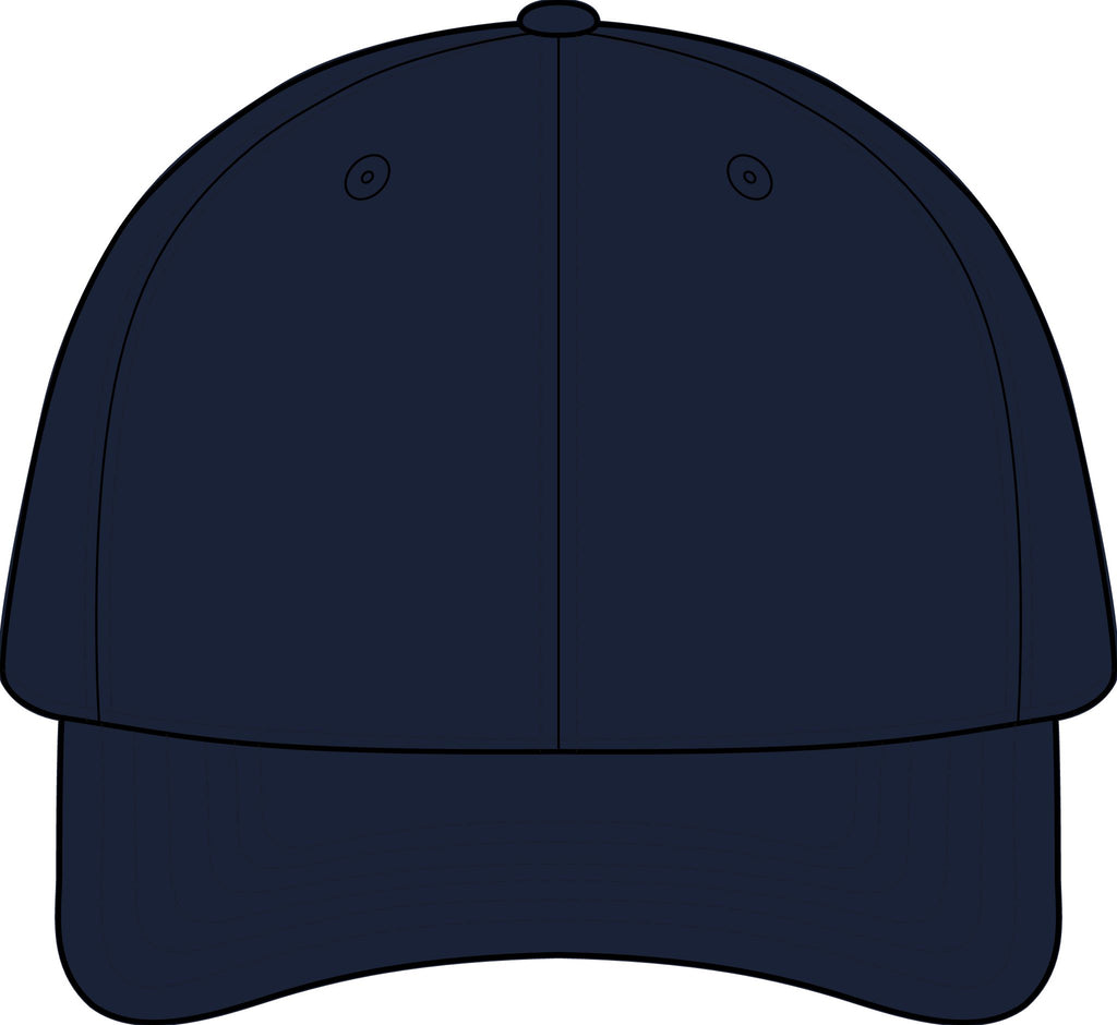 The SCIF Skull "Solid White" Graphic strapback