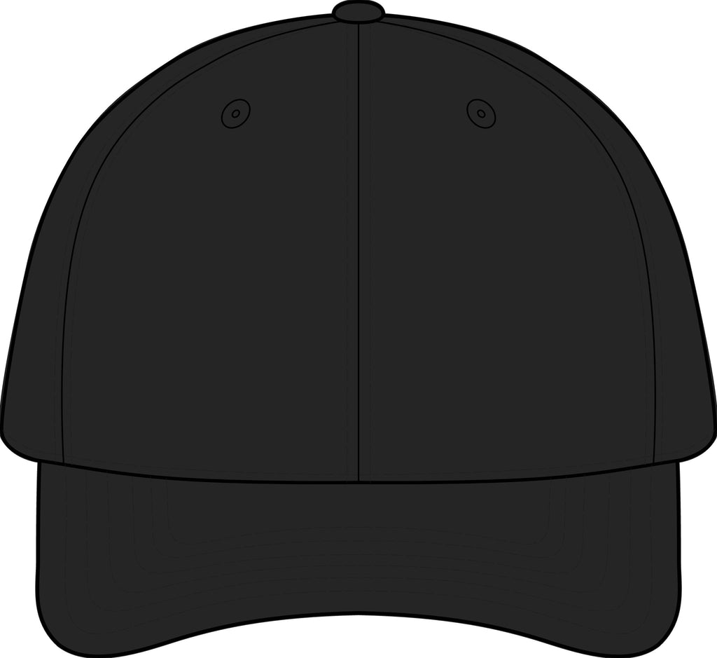 The SCIF Skull logo Snapback hat