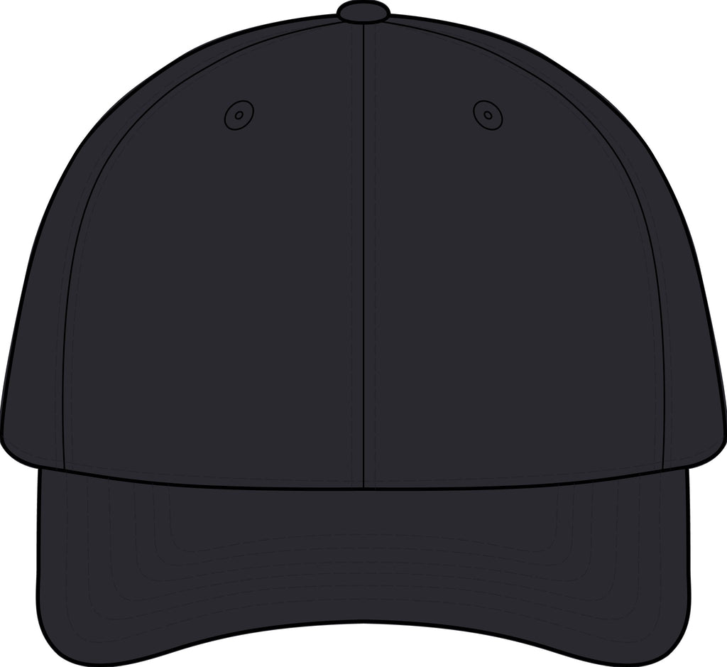 The SCIF Skull logo Snapback hat