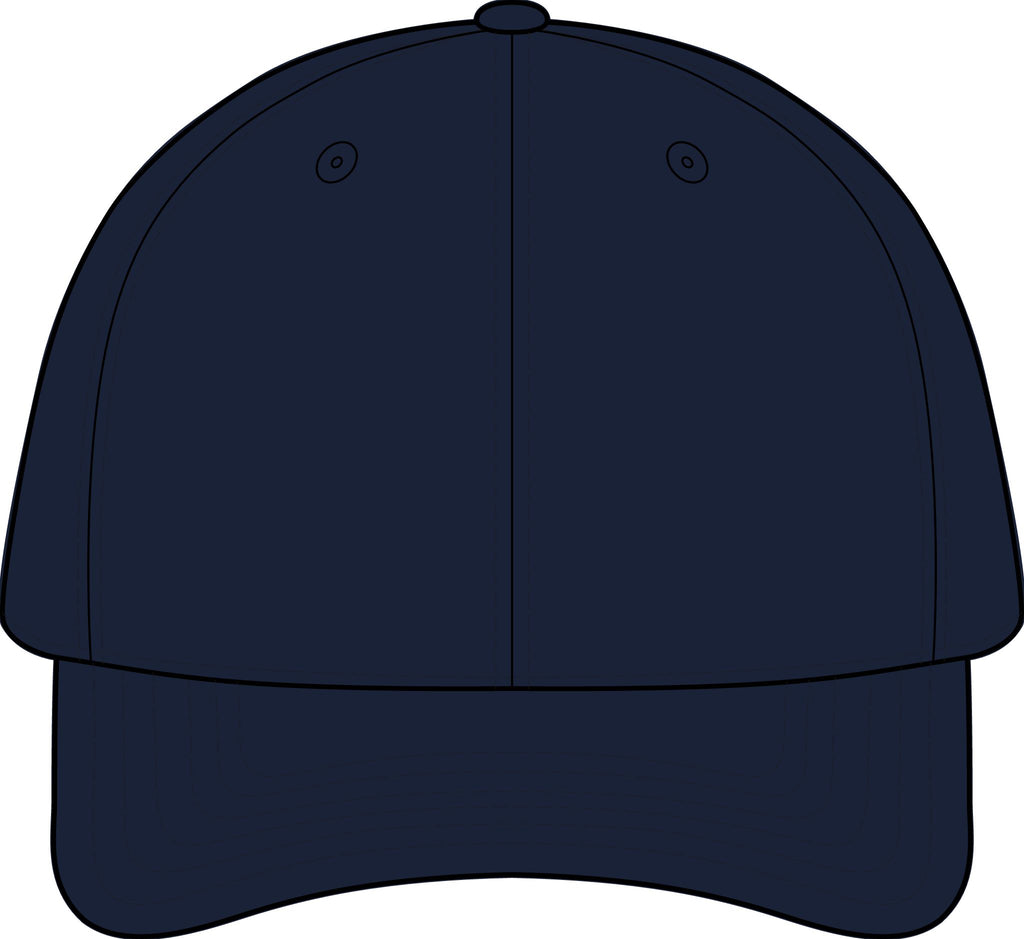 The SCIF Skull logo Snapback hat