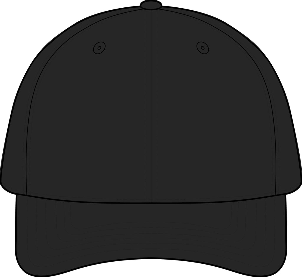 The SCIF Skull logo Snapback hat